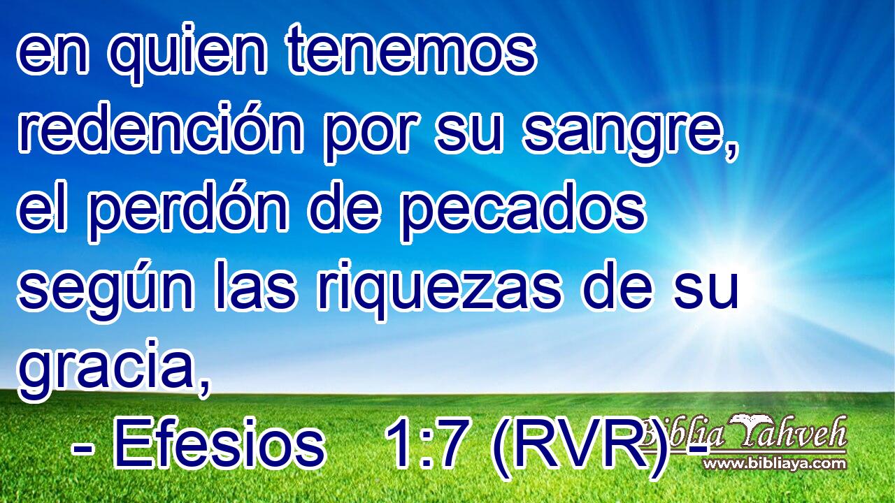 en quien tenemos redención por su sangre, el perdón de pecados según las riquezas de su gracia,