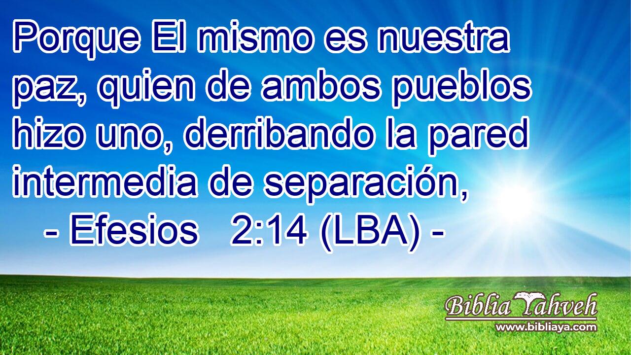 Porque El mismo es nuestra paz, quien de ambos pueblos hizo uno, derribando la pared intermedia de separación,
