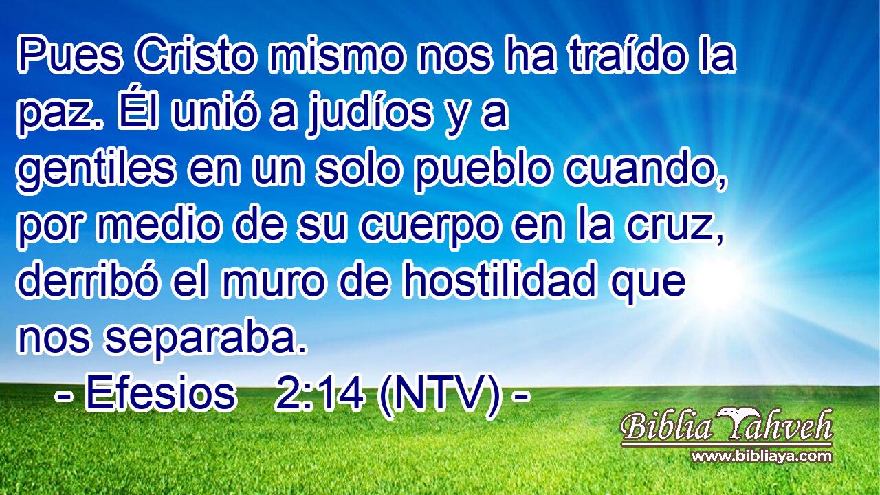 Pues Cristo mismo nos ha traído la paz. Él unió a judíos y a gentiles en un solo pueblo cuando, por medio de su cuerpo en la cruz, derribó el muro de hostilidad que nos separaba.