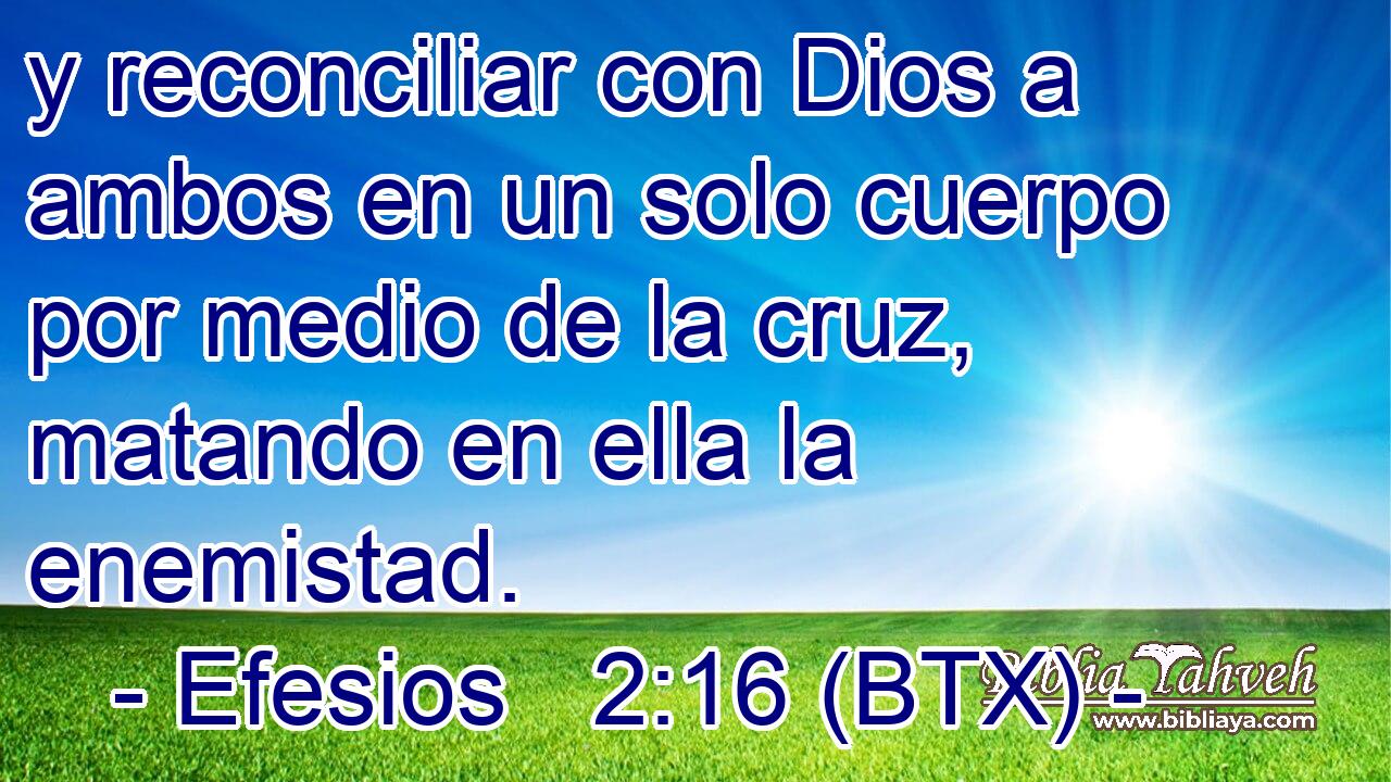 y reconciliar con Dios a ambos en un solo cuerpo por medio de la cruz, matando en ella la enemistad.