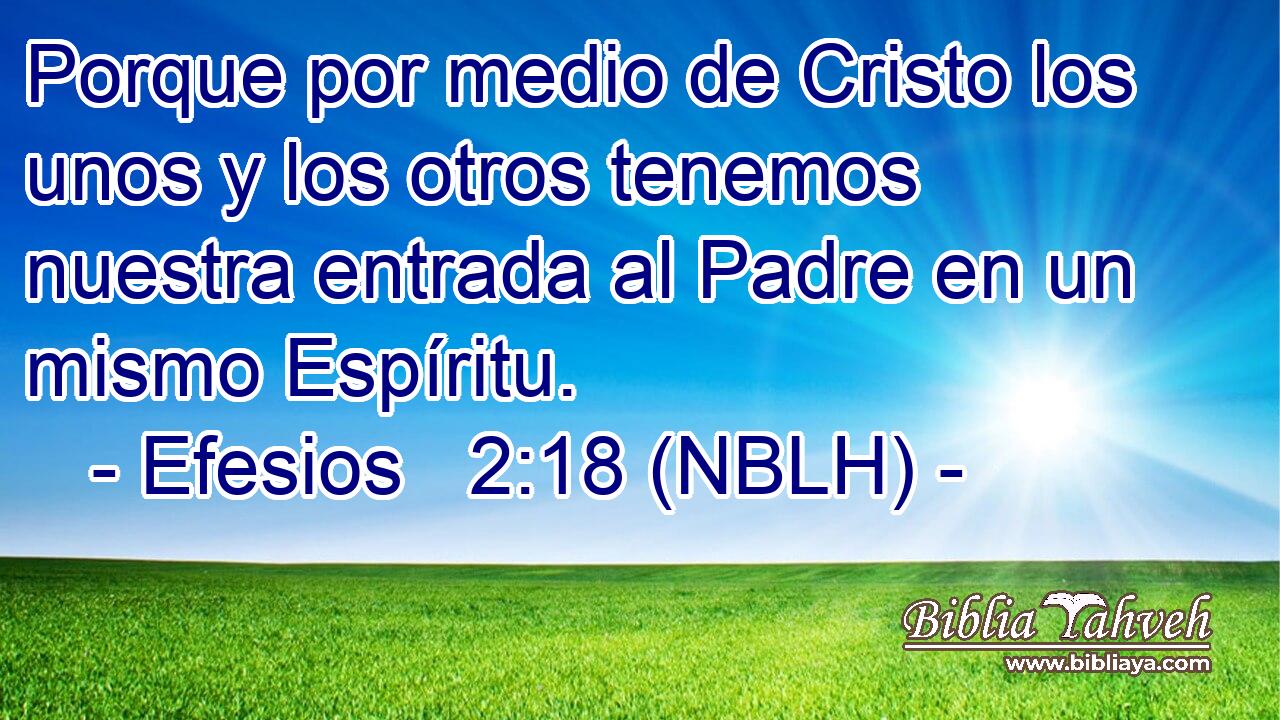  Porque por medio de Cristo los unos y los otros tenemos nuestra entrada al Padre en un mismo Espíritu. 