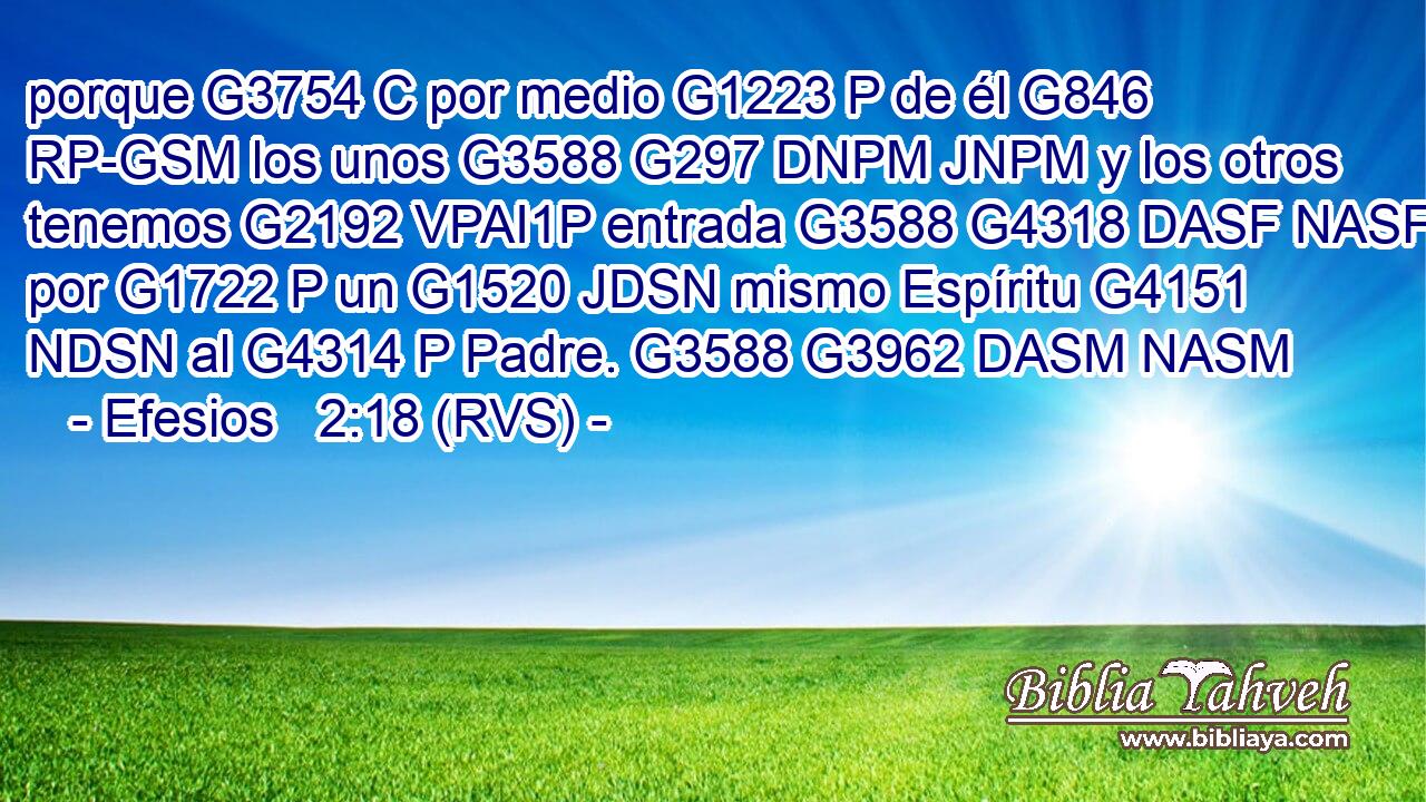 porque G3754 C por medio G1223 P de él G846 RP-GSM los unos G3588 G297 DNPM JNPM y los otros tenemos G2192 VPAI1P entrada G3588 G4318 DASF NASF por G1722 P un G1520 JDSN mismo Espíritu G4151 NDSN al G4314 P Padre. G3588 G3962 DASM NASM 