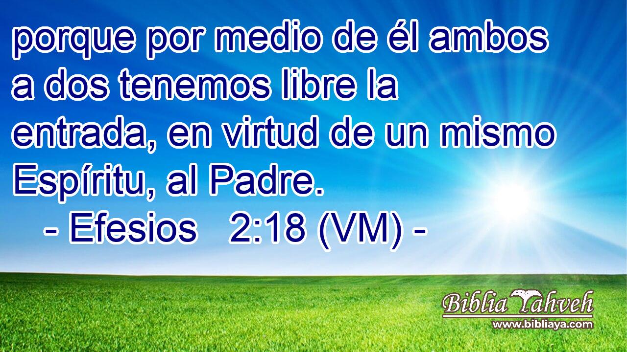  porque por medio de él ambos a dos tenemos libre la entrada, en virtud de un mismo Espíritu, al Padre. 