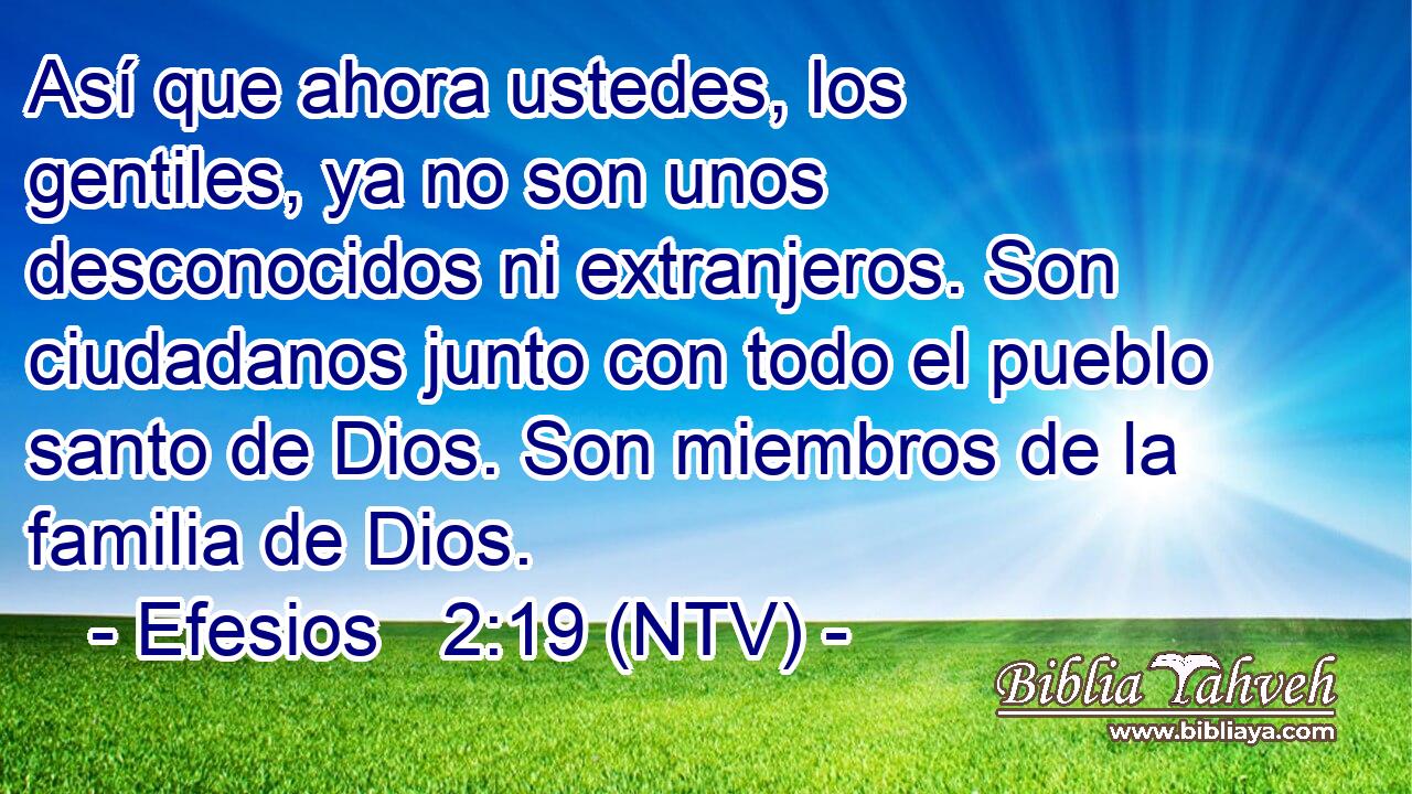 Así que ahora ustedes, los gentiles, ya no son unos desconocidos ni extranjeros. Son ciudadanos junto con todo el pueblo santo de Dios. Son miembros de la familia de Dios.
