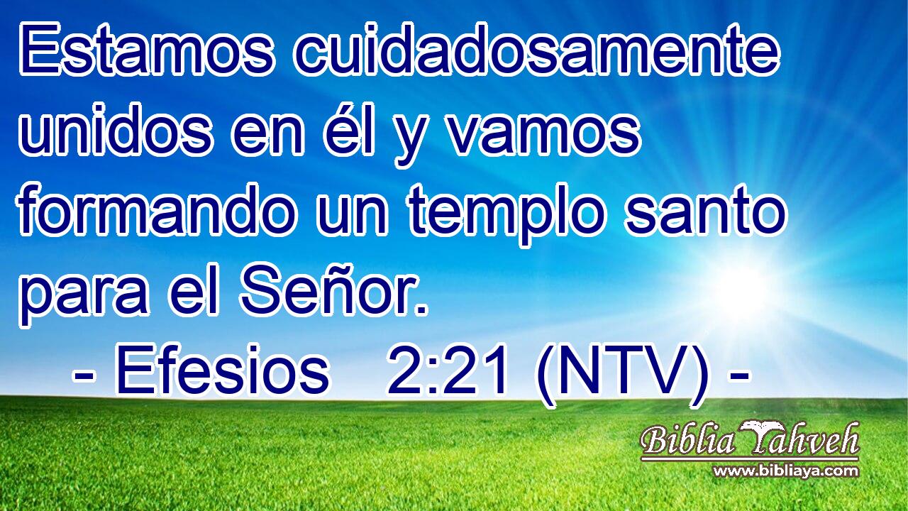 Estamos cuidadosamente unidos en él y vamos formando un templo santo para el Señor.