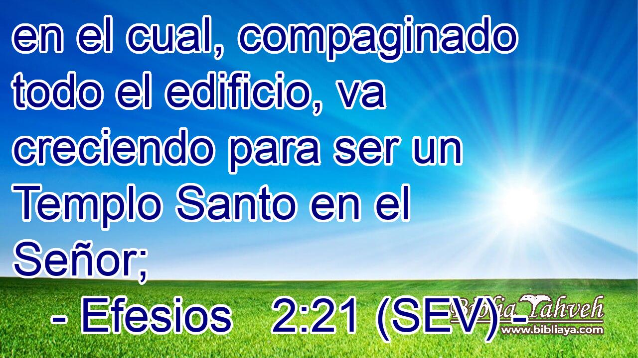 en el cual, compaginado todo el edificio, va creciendo para ser un Templo Santo en el Señor;