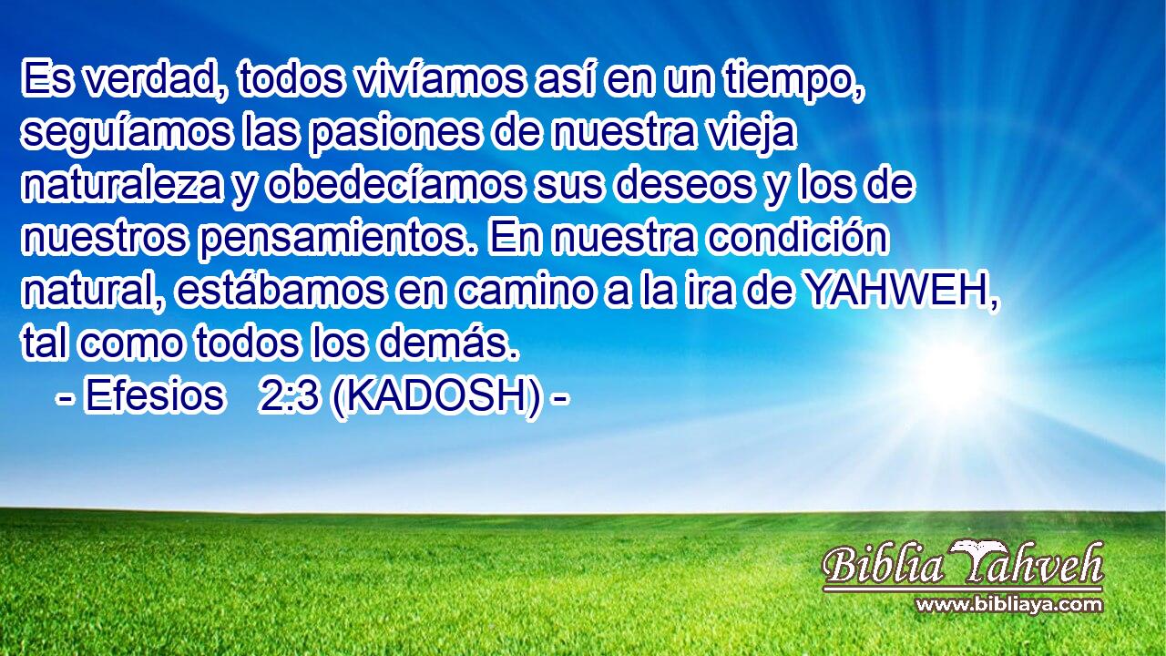  Es verdad, todos vivíamos así en un tiempo, seguíamos las pasiones de nuestra vieja naturaleza y obedecíamos sus deseos y los de nuestros pensamientos. En nuestra condición natural, estábamos en camino a la ira de YAHWEH, tal como todos los demás. 
