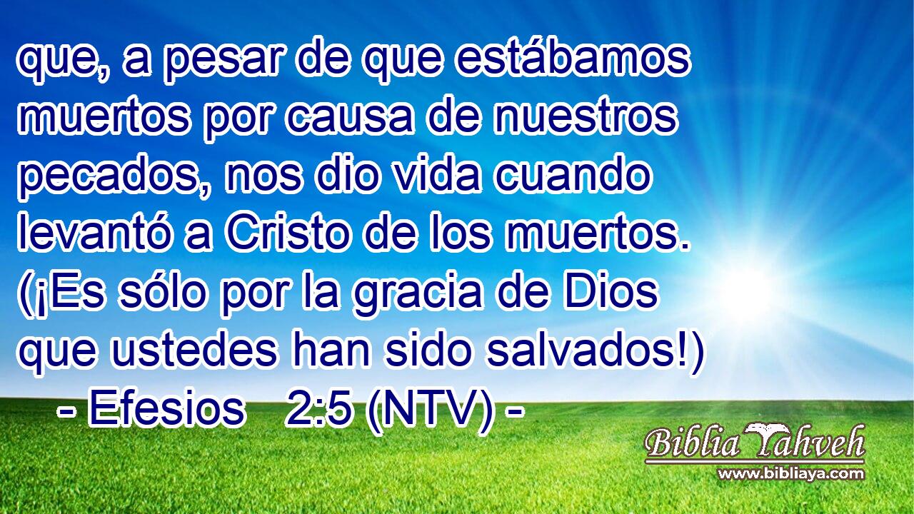 que, a pesar de que estábamos muertos por causa de nuestros pecados, nos dio vida cuando levantó a Cristo de los muertos. (¡Es sólo por la gracia de Dios que ustedes han sido salvados!)