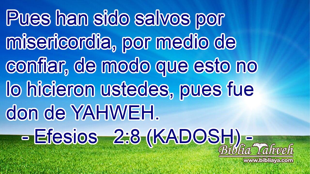  Pues han sido salvos por misericordia, por medio de confiar, de modo que esto no lo hicieron ustedes, pues fue don de YAHWEH. 