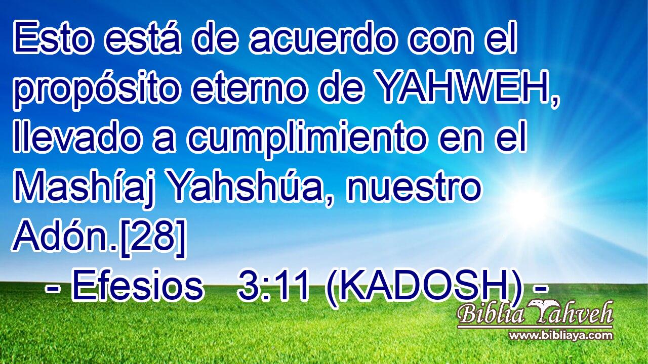  Esto está de acuerdo con el propósito eterno de YAHWEH, llevado a cumplimiento en el Mashíaj Yahshúa, nuestro Adón.[28] 
