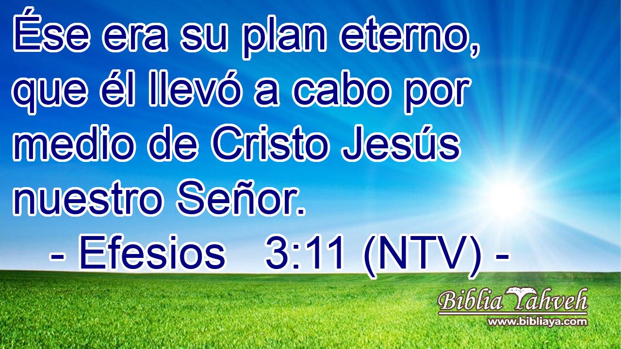 Ése era su plan eterno, que él llevó a cabo por medio de Cristo Jesús nuestro Señor.