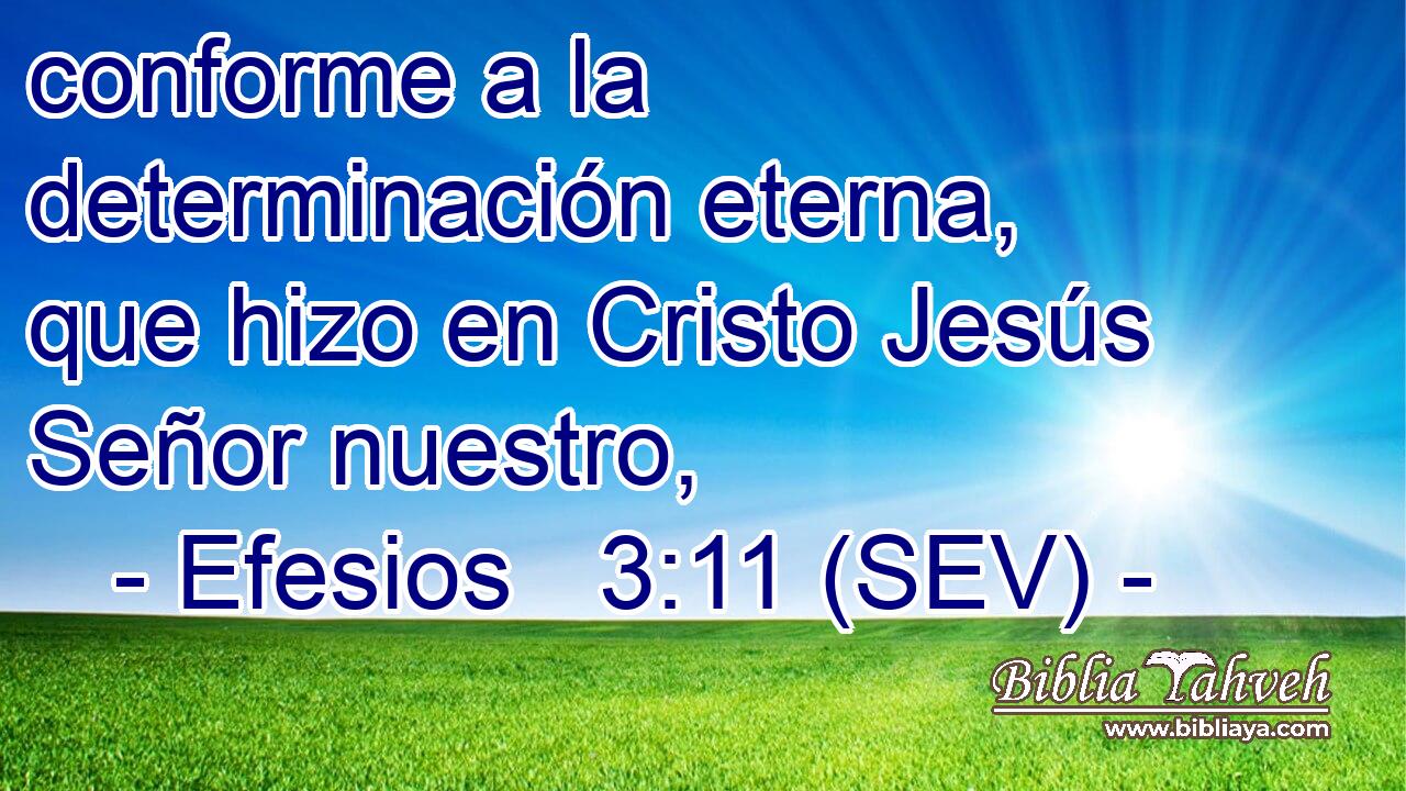 conforme a la determinación eterna, que hizo en Cristo Jesús Señor nuestro,