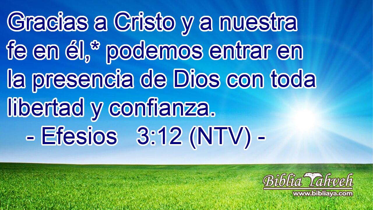 Gracias a Cristo y a nuestra fe en él,* podemos entrar en la presencia de Dios con toda libertad y confianza.