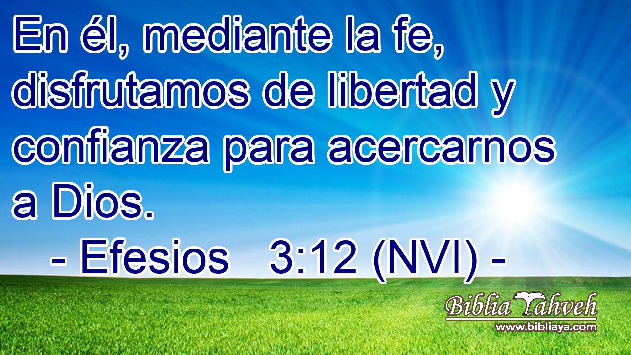  En él, mediante la fe, disfrutamos de libertad y confianza para acercarnos a Dios. 