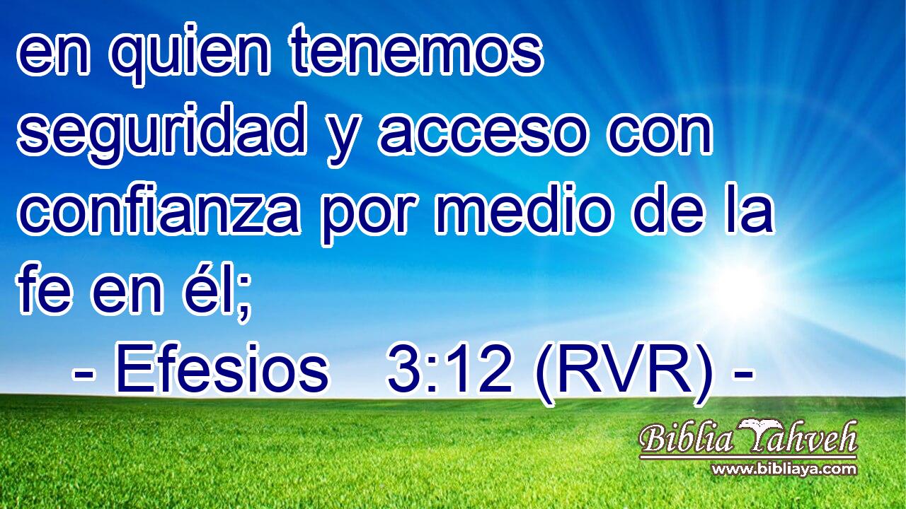 en quien tenemos seguridad y acceso con confianza por medio de la fe en él;