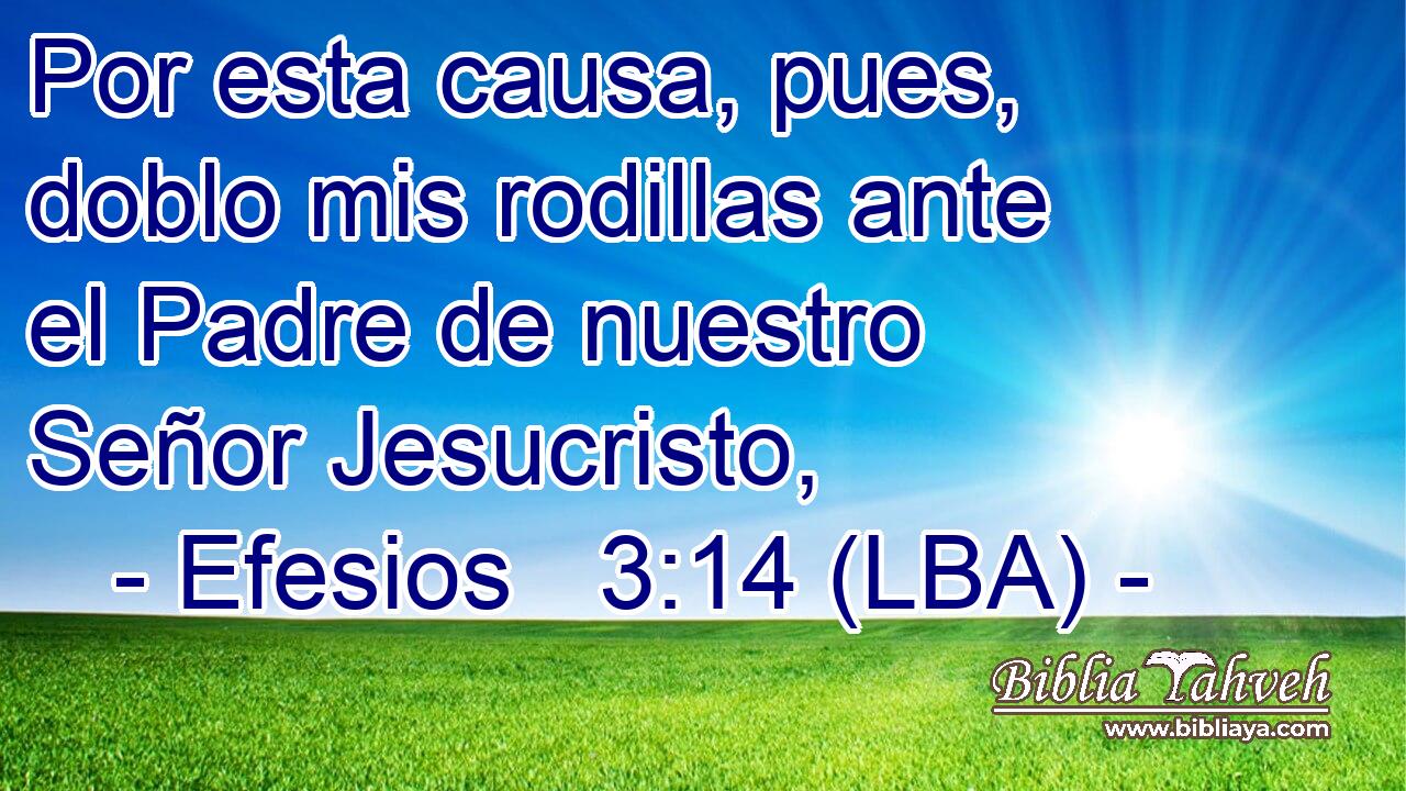Por esta causa, pues, doblo mis rodillas ante el Padre de nuestro Señor Jesucristo,