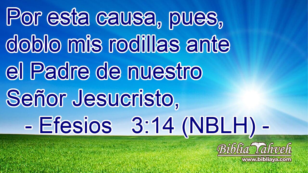  Por esta causa, pues, doblo mis rodillas ante el Padre de nuestro Señor Jesucristo, 
