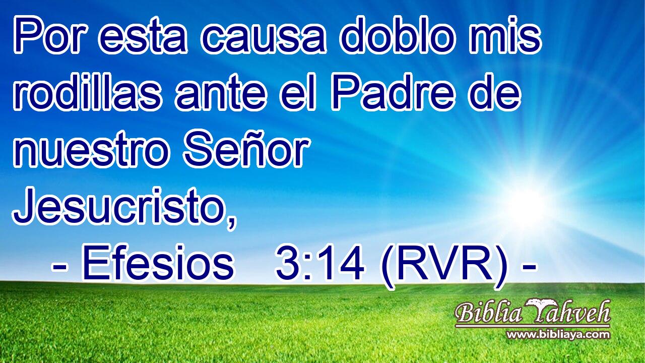 Por esta causa doblo mis rodillas ante el Padre de nuestro Señor Jesucristo,