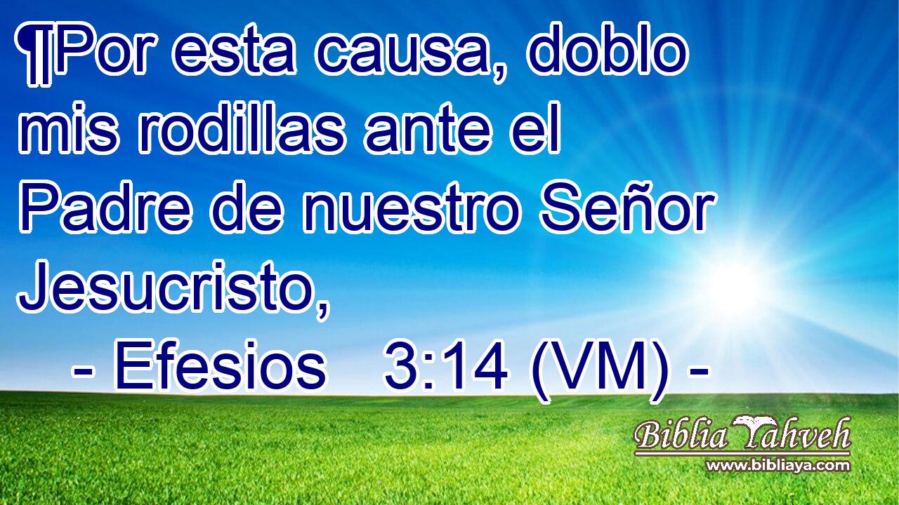  ¶Por esta causa, doblo mis rodillas ante el Padre de nuestro Señor Jesucristo, 