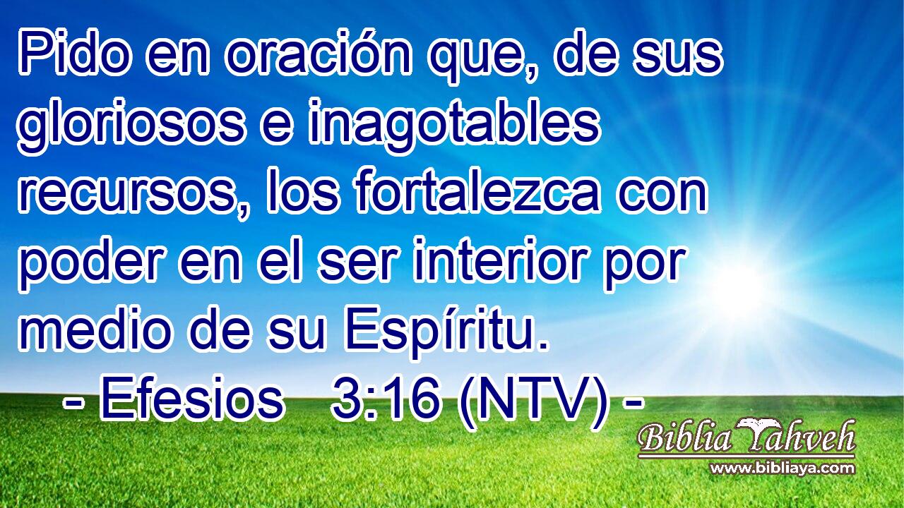 Pido en oración que, de sus gloriosos e inagotables recursos, los fortalezca con poder en el ser interior por medio de su Espíritu.