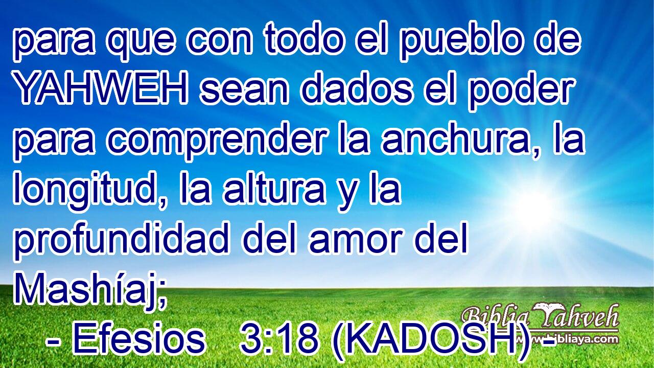  para que con todo el pueblo de YAHWEH sean dados el poder para comprender la anchura, la longitud, la altura y la profundidad del amor del Mashíaj; 
