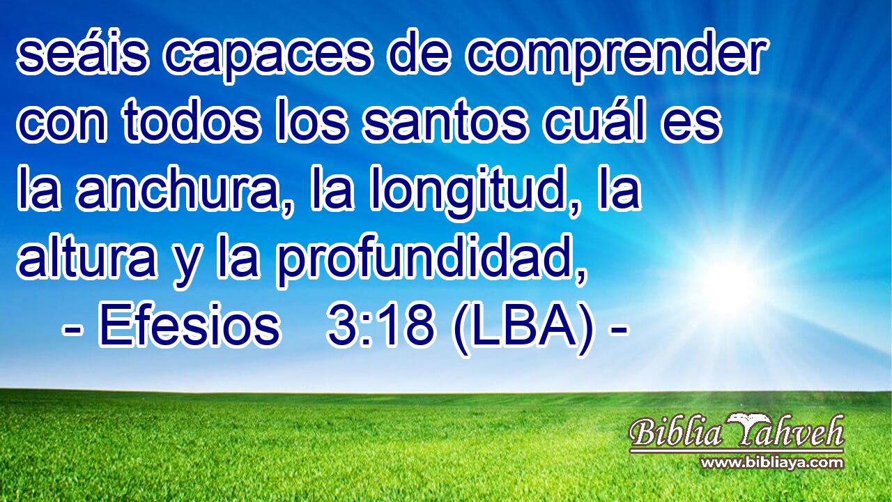 seáis capaces de comprender con todos los santos cuál es la anchura, la longitud, la altura y la profundidad,