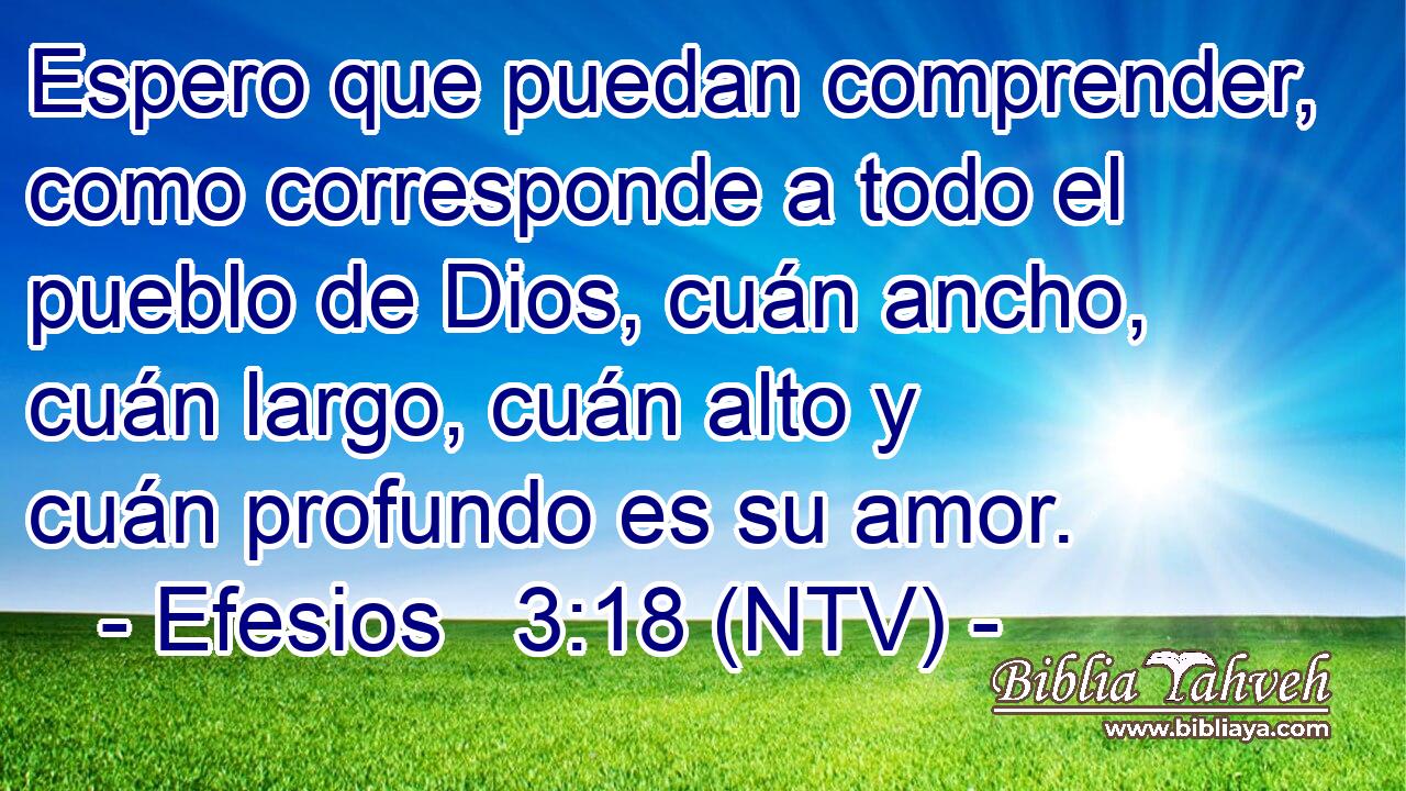 Espero que puedan comprender, como corresponde a todo el pueblo de Dios, cuán ancho, cuán largo, cuán alto y cuán profundo es su amor.