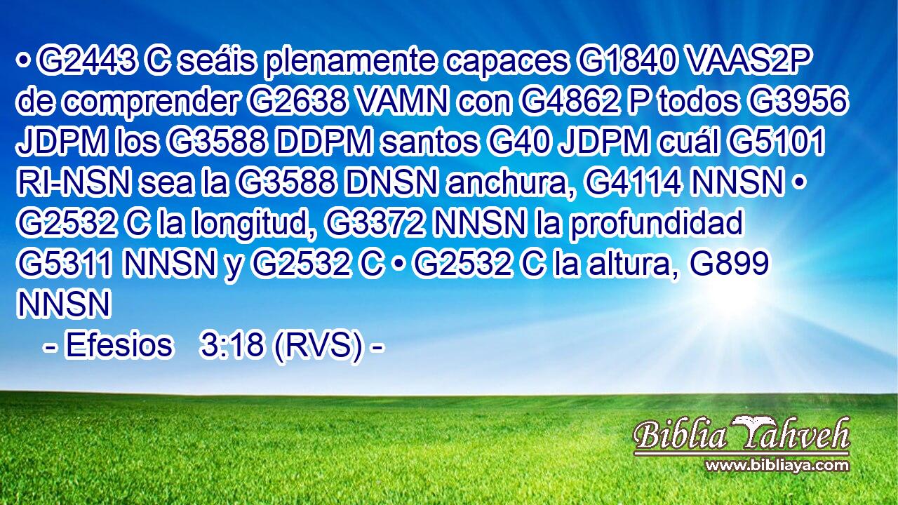 • G2443 C seáis plenamente capaces G1840 VAAS2P de comprender G2638 VAMN con G4862 P todos G3956 JDPM los G3588 DDPM santos G40 JDPM cuál G5101 RI-NSN sea la G3588 DNSN anchura, G4114 NNSN • G2532 C la longitud, G3372 NNSN la profundidad G5311 NNSN y G2532 C • G2532 C la altura, G899 NNSN 