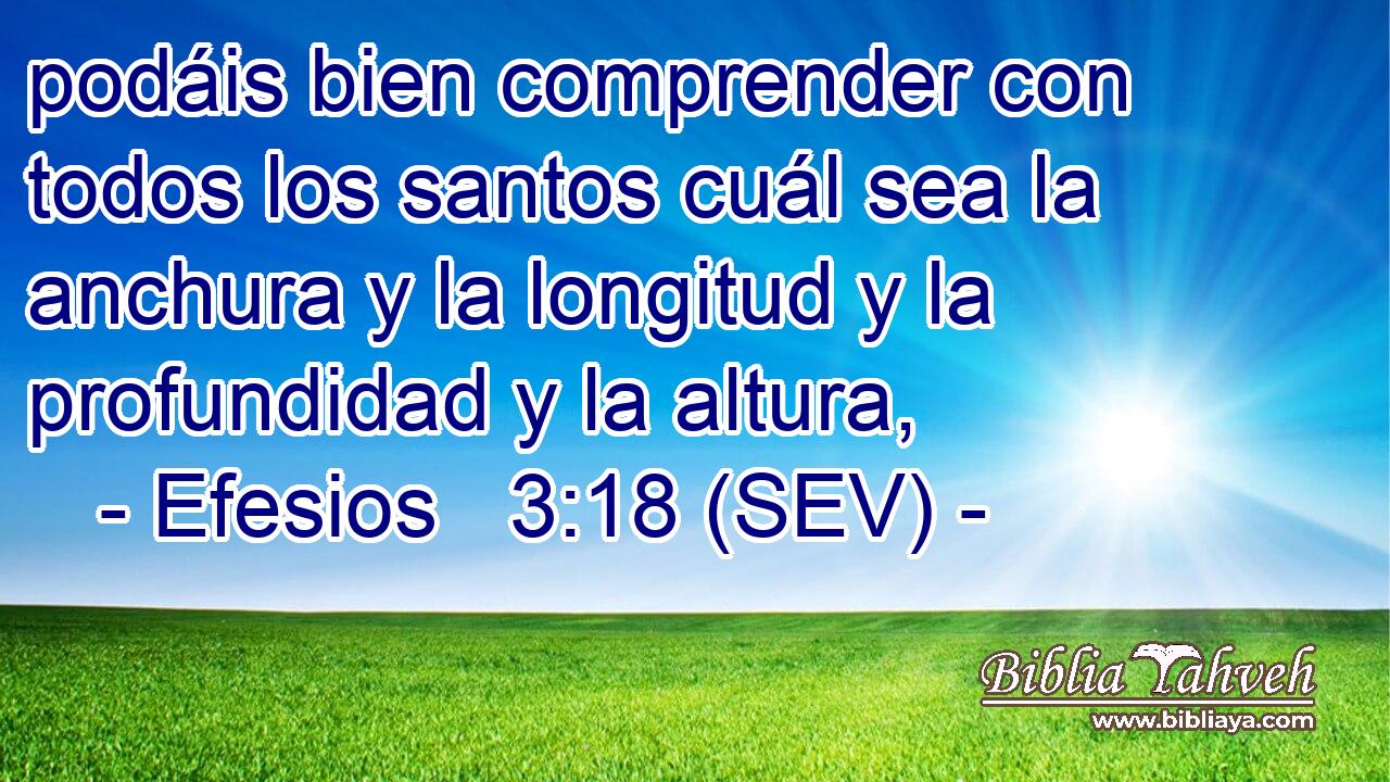 podáis bien comprender con todos los santos cuál sea la anchura y la longitud y la profundidad y la altura,