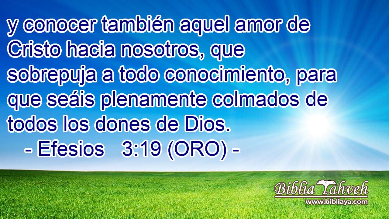  y conocer también aquel amor de Cristo hacia nosotros, que sobrepuja a todo conocimiento, para que seáis plenamente colmados de todos los dones de Dios. 