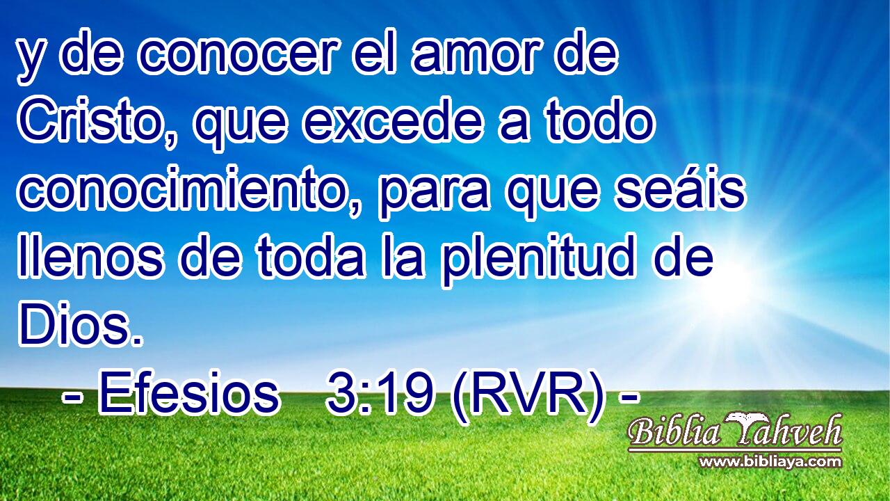y de conocer el amor de Cristo, que excede a todo conocimiento, para que seáis llenos de toda la plenitud de Dios.