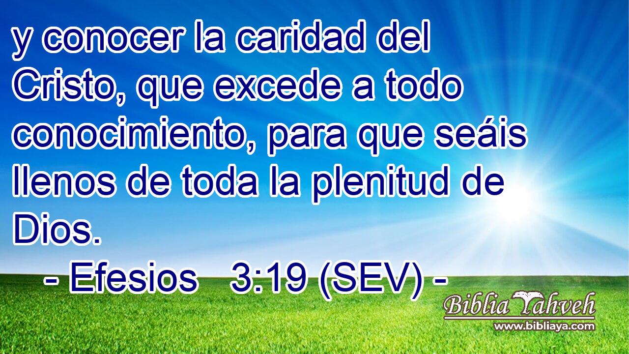 y conocer la caridad del Cristo, que excede a todo conocimiento, para que seáis llenos de toda la plenitud de Dios.