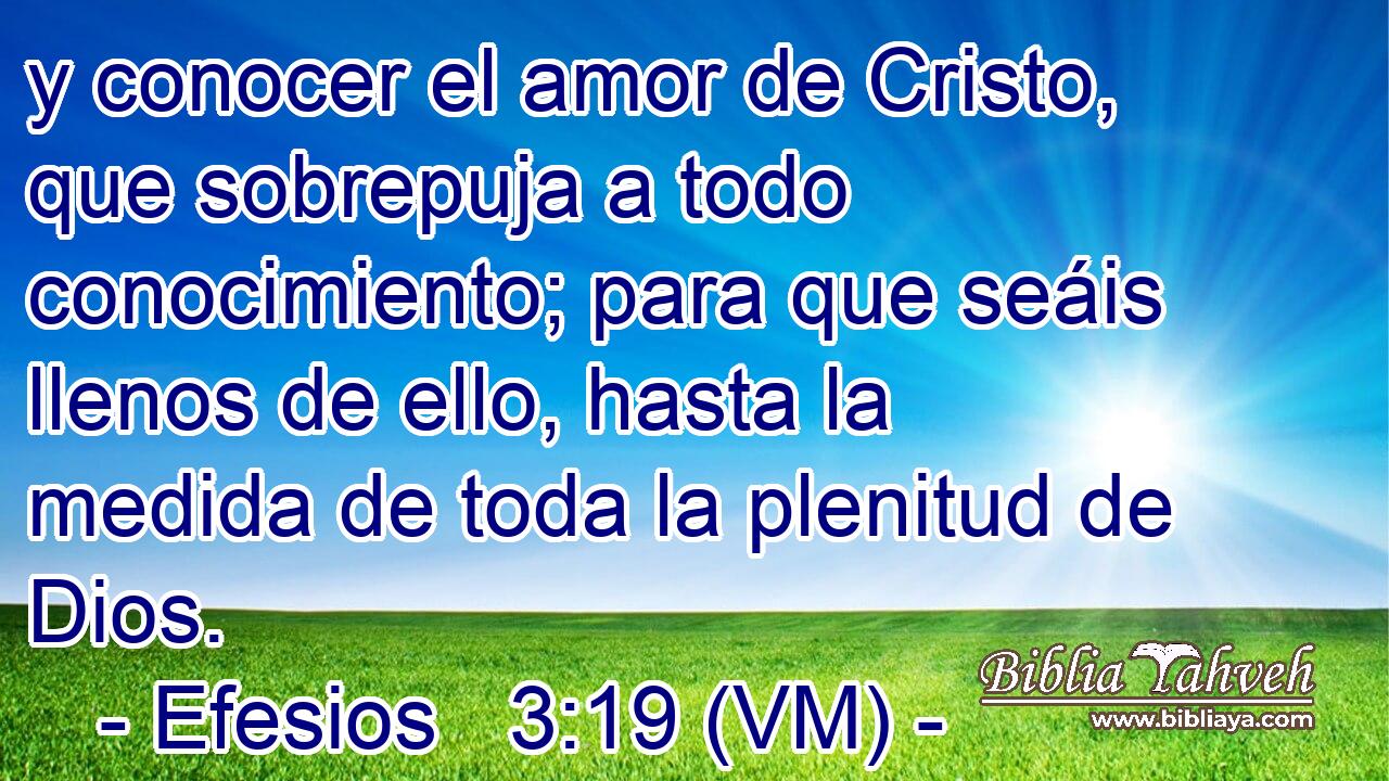  y conocer el amor de Cristo, que sobrepuja a todo conocimiento; para que seáis llenos de ello, hasta la medida de toda la plenitud de Dios. 