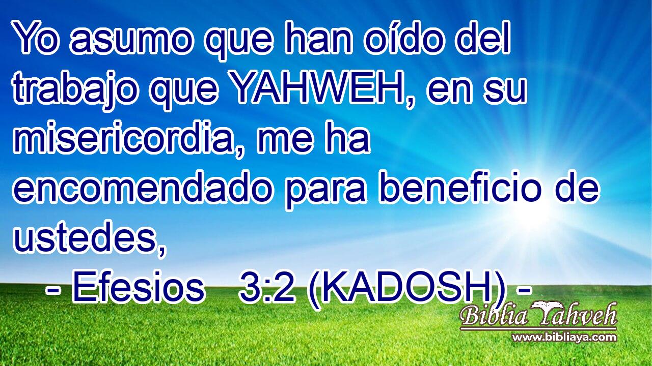  Yo asumo que han oído del trabajo que YAHWEH, en su misericordia, me ha encomendado para beneficio de ustedes, 