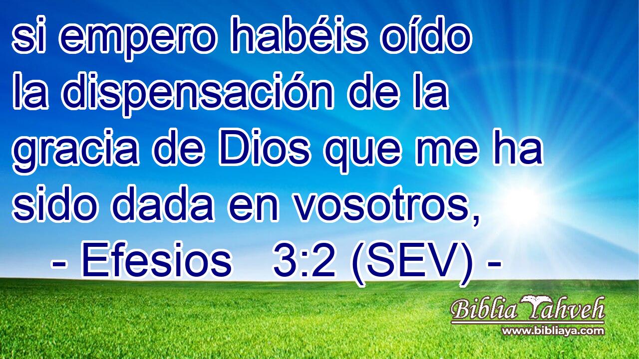 si empero habéis oído la dispensación de la gracia de Dios que me ha sido dada en vosotros,