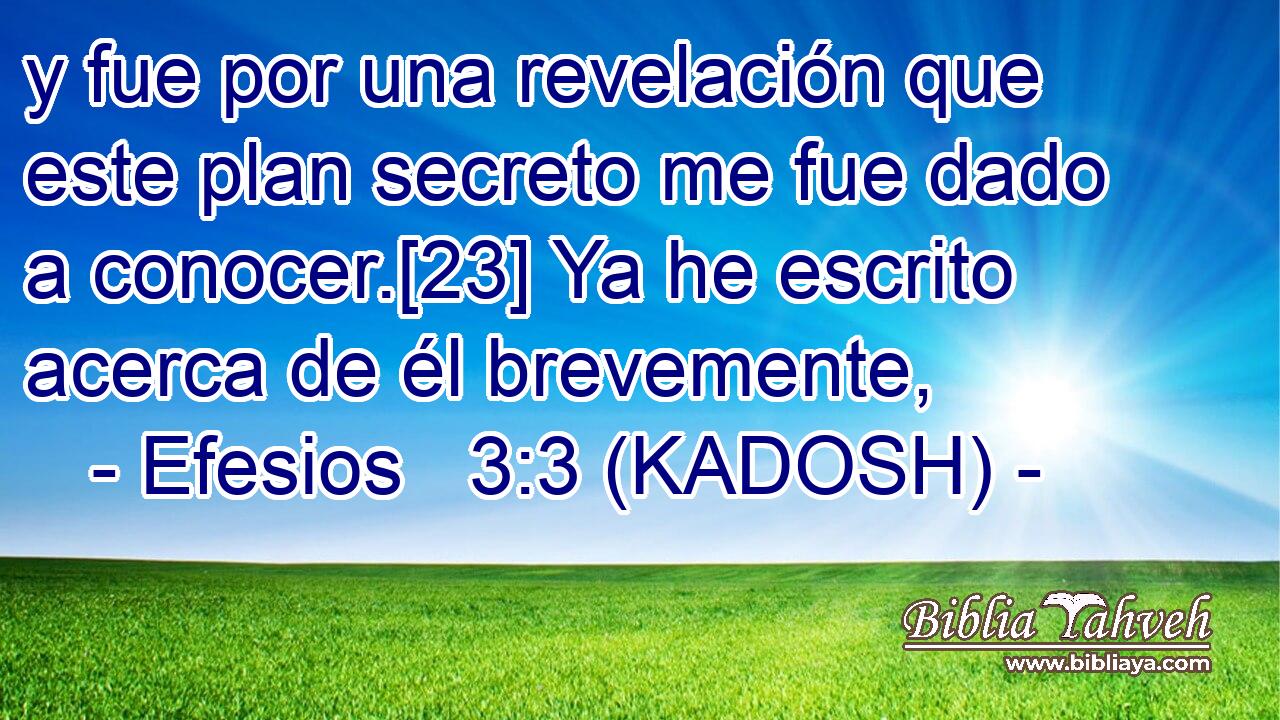  y fue por una revelación que este plan secreto me fue dado a conocer.[23] Ya he escrito acerca de él brevemente, 