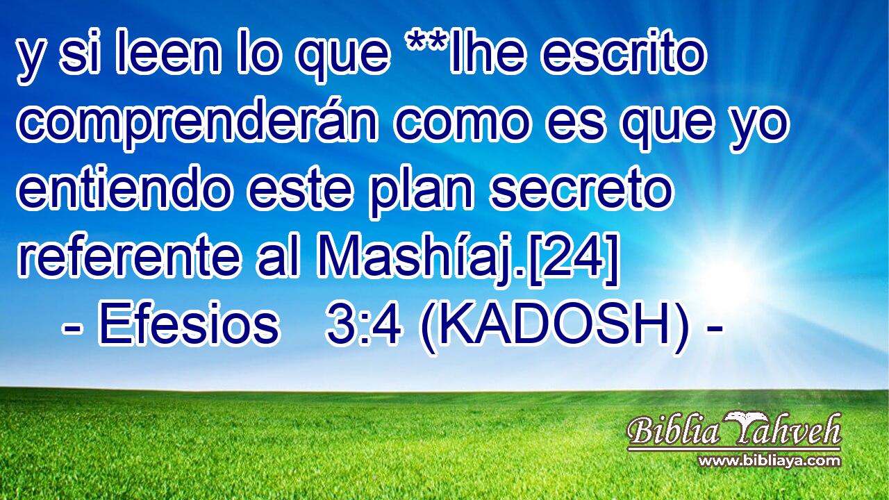  y si leen lo que **Ihe escrito comprenderán como es que yo entiendo este plan secreto referente al Mashíaj.[24] 