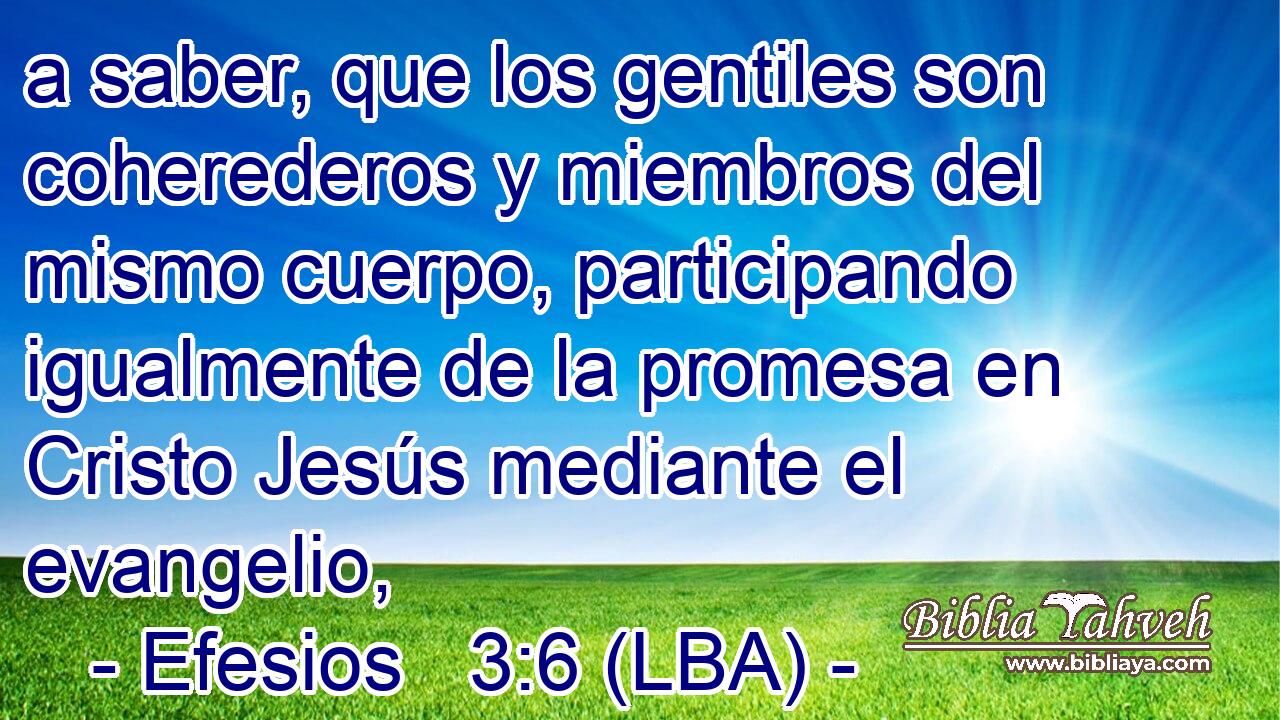 a saber, que los gentiles son coherederos y miembros del mismo cuerpo, participando igualmente de la promesa en Cristo Jesús mediante el evangelio,
