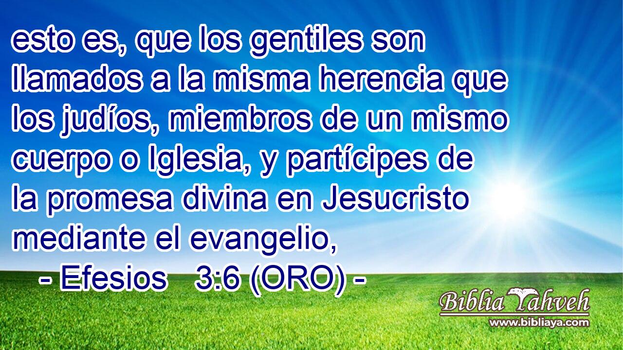  esto es, que los gentiles son llamados a la misma herencia que los judíos, miembros de un mismo cuerpo o Iglesia, y partícipes de la promesa divina en Jesucristo mediante el evangelio, 