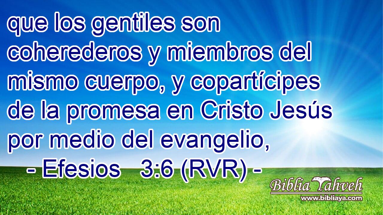 que los gentiles son coherederos y miembros del mismo cuerpo, y copartícipes de la promesa en Cristo Jesús por medio del evangelio,