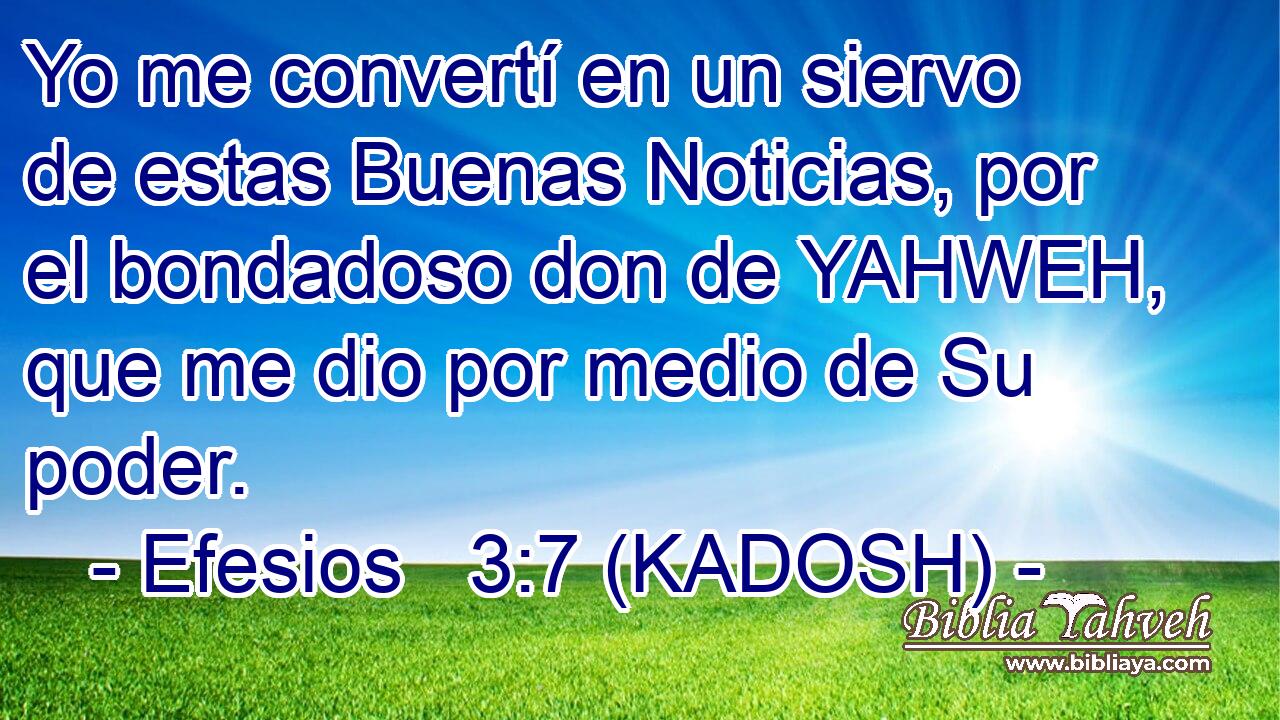  Yo me convertí en un siervo de estas Buenas Noticias, por el bondadoso don de YAHWEH, que me dio por medio de Su poder. 