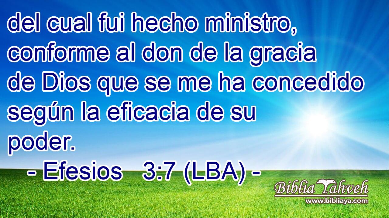 del cual fui hecho ministro, conforme al don de la gracia de Dios que se me ha concedido según la eficacia de su poder.