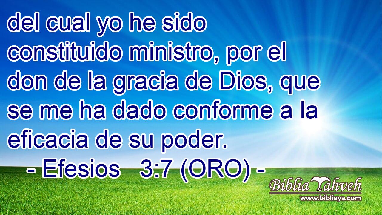  del cual yo he sido constituido ministro, por el don de la gracia de Dios, que se me ha dado conforme a la eficacia de su poder. 
