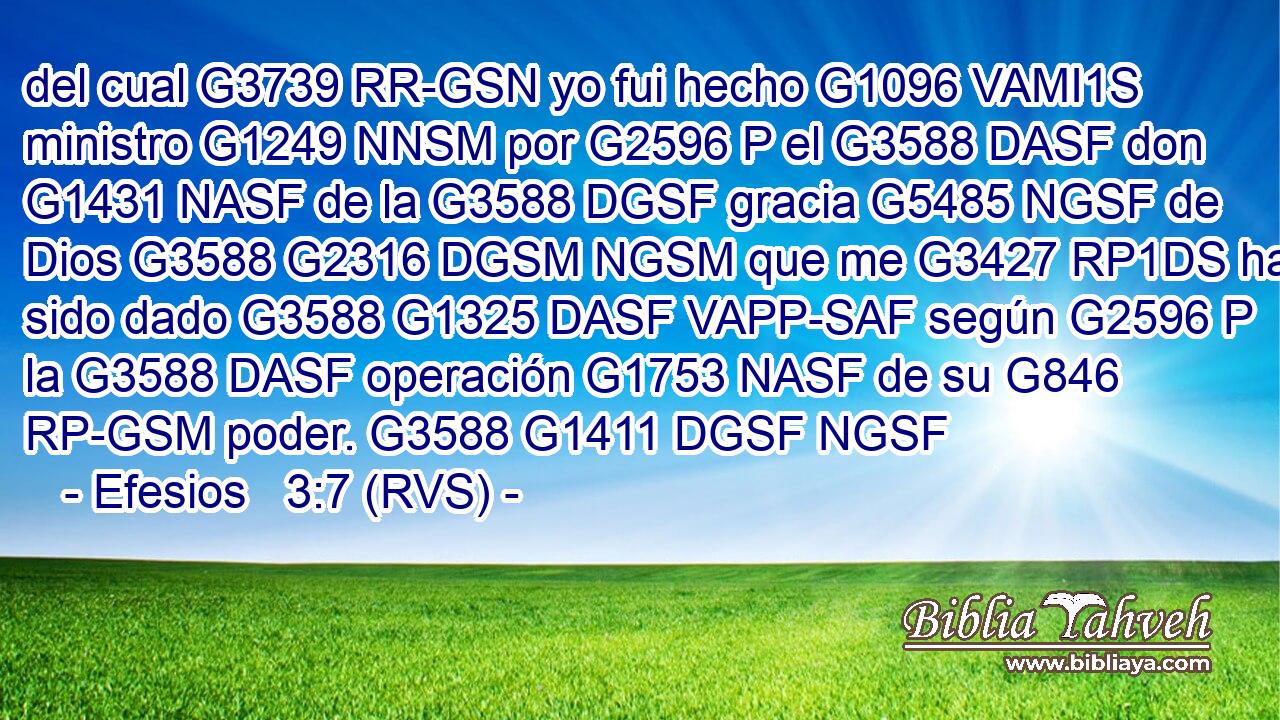 del cual G3739 RR-GSN yo fui hecho G1096 VAMI1S ministro G1249 NNSM por G2596 P el G3588 DASF don G1431 NASF de la G3588 DGSF gracia G5485 NGSF de Dios G3588 G2316 DGSM NGSM que me G3427 RP1DS ha sido dado G3588 G1325 DASF VAPP-SAF según G2596 P la G3588 DASF operación G1753 NASF de su G846 RP-GSM poder. G3588 G1411 DGSF NGSF 
