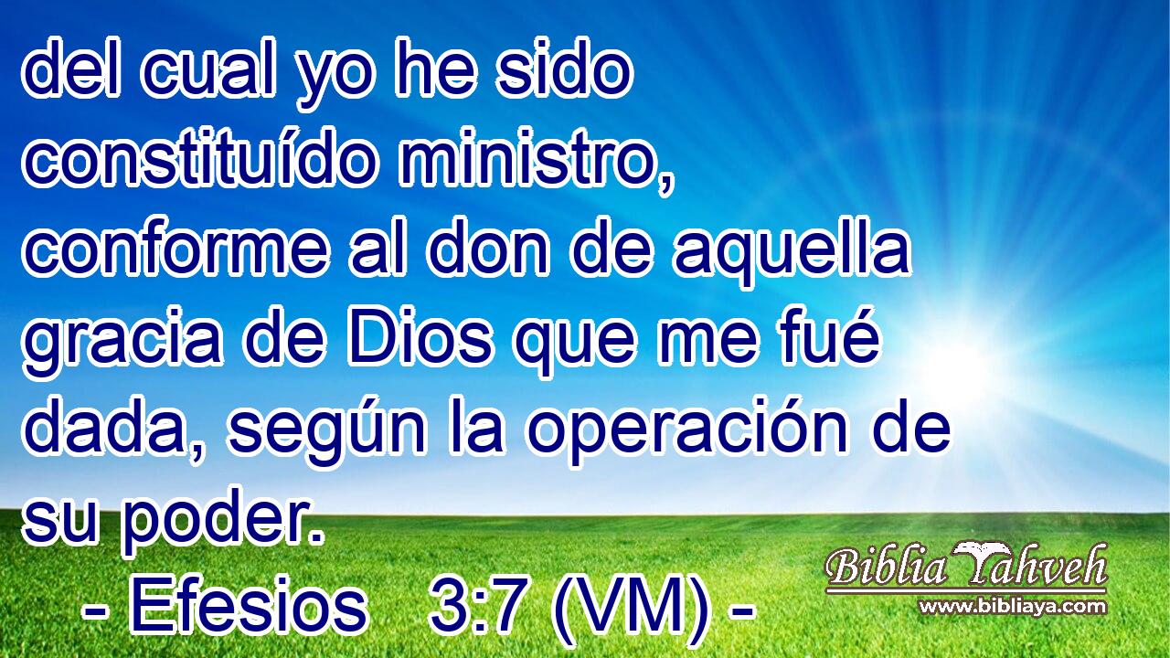  del cual yo he sido constituído ministro, conforme al don de aquella gracia de Dios que me fué dada, según la operación de su poder. 