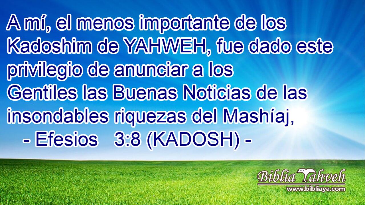 A mí, el menos importante de los Kadoshim de YAHWEH, fue dado este privilegio de anunciar a los Gentiles las Buenas Noticias de las insondables riquezas del Mashíaj, 