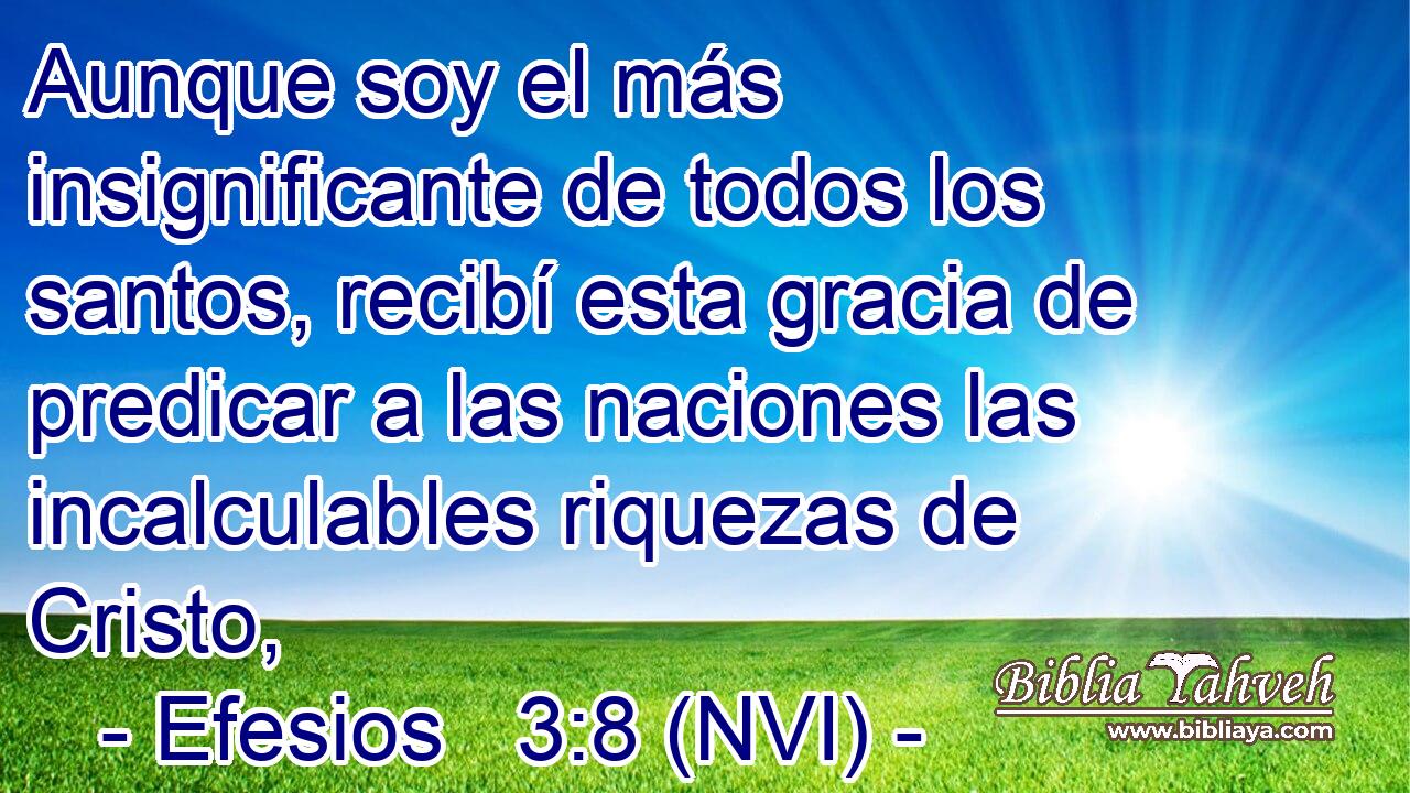  Aunque soy el más insignificante de todos los santos, recibí esta gracia de predicar a las naciones las incalculables riquezas de Cristo, 