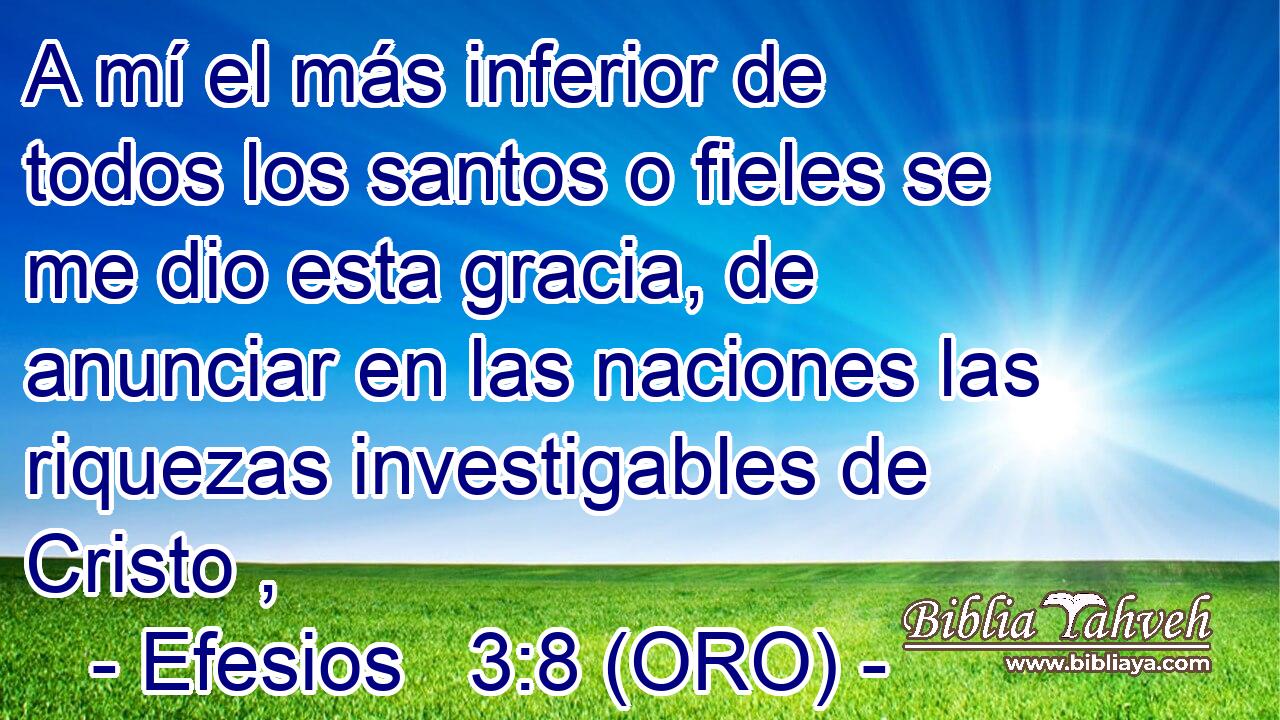  A mí el más inferior de todos los santos o fieles se me dio esta gracia, de anunciar en las naciones las riquezas investigables de Cristo , 