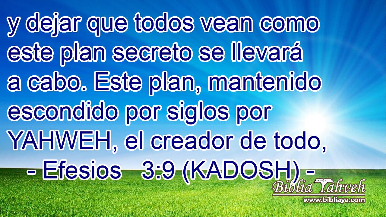  y dejar que todos vean como este plan secreto se llevará a cabo. Este plan, mantenido escondido por siglos por YAHWEH, el creador de todo, 