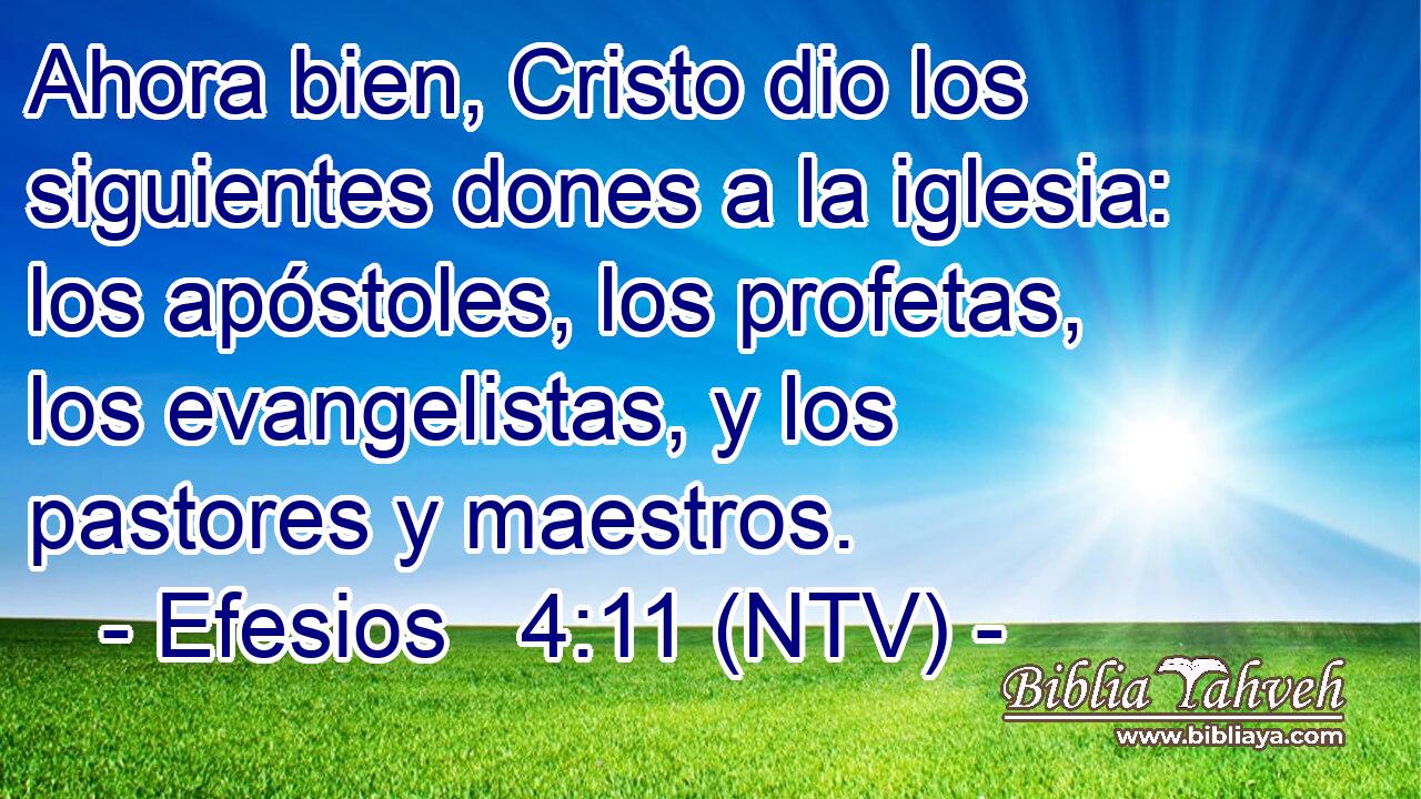 Ahora bien, Cristo dio los siguientes dones a la iglesia: los apóstoles, los profetas, los evangelistas, y los pastores y maestros.